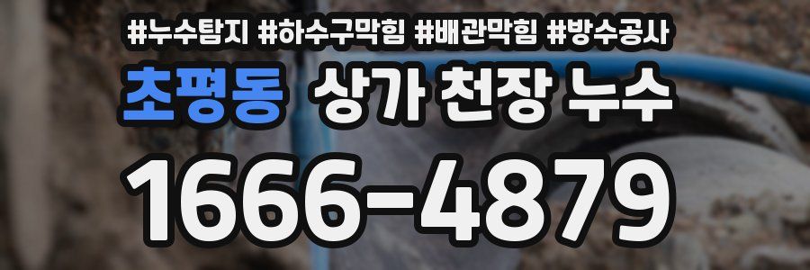초평동 상가 천장 누수