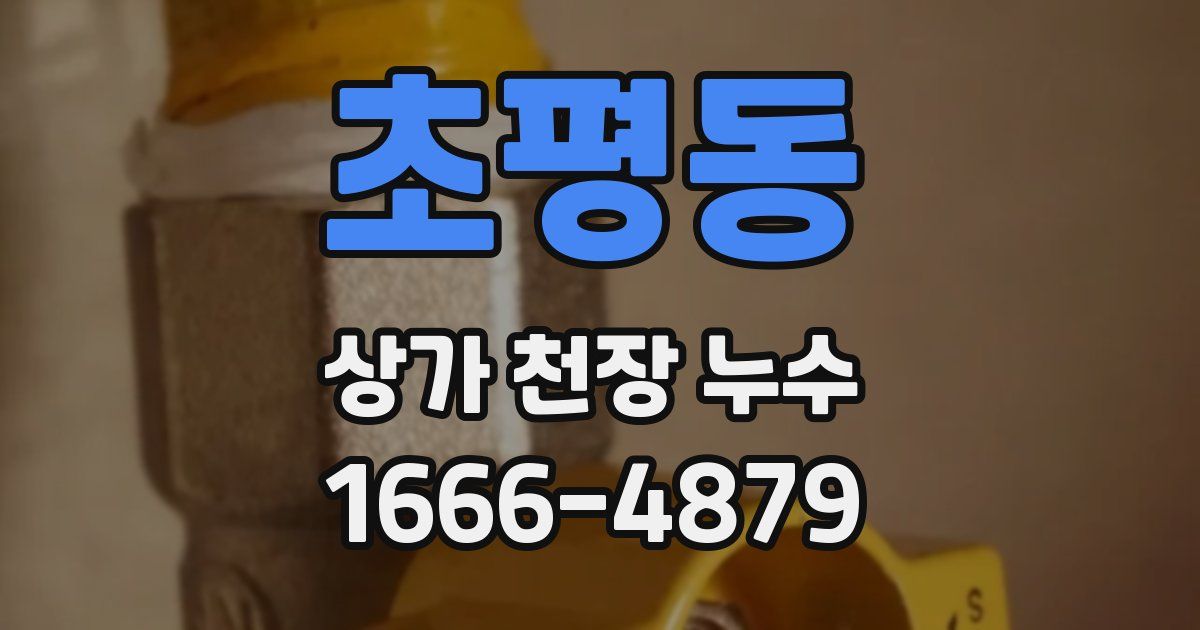 초평동 상가 천장 누수