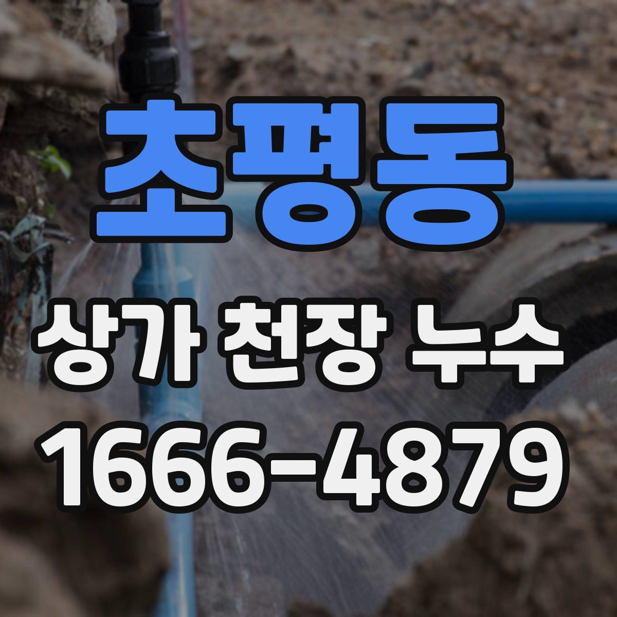 초평동 상가 천장 누수