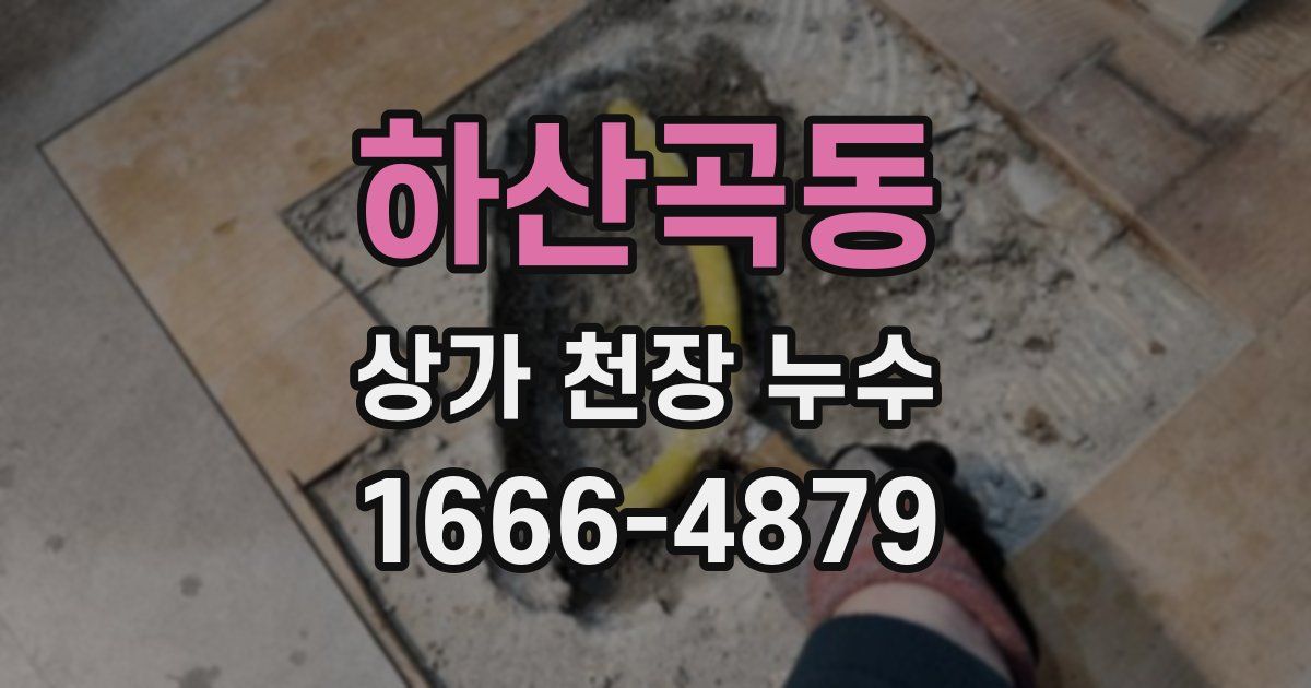 하산곡동 상가 천장 누수