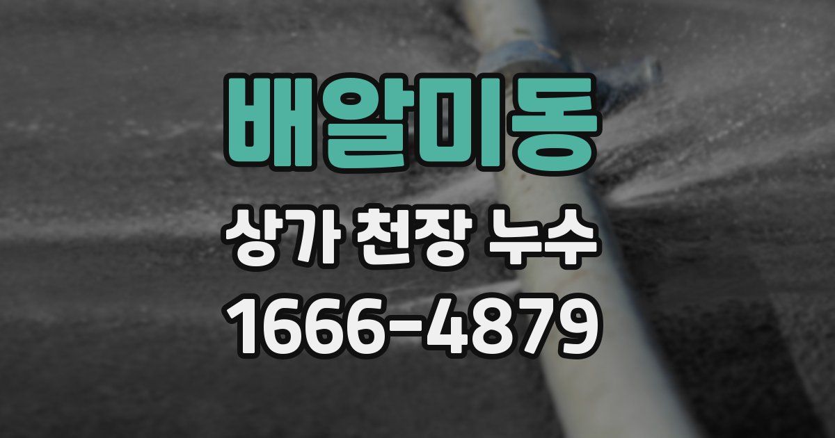 배알미동 상가 천장 누수