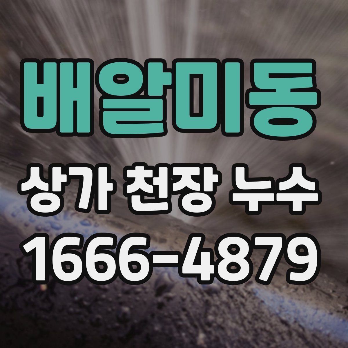 배알미동 상가 천장 누수