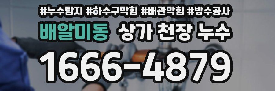 배알미동 상가 천장 누수