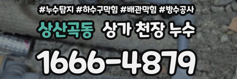 상산곡동 상가 천장 누수