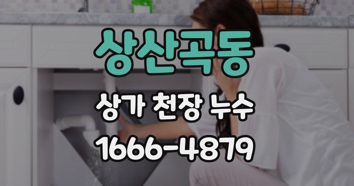 상산곡동 상가 천장 누수
