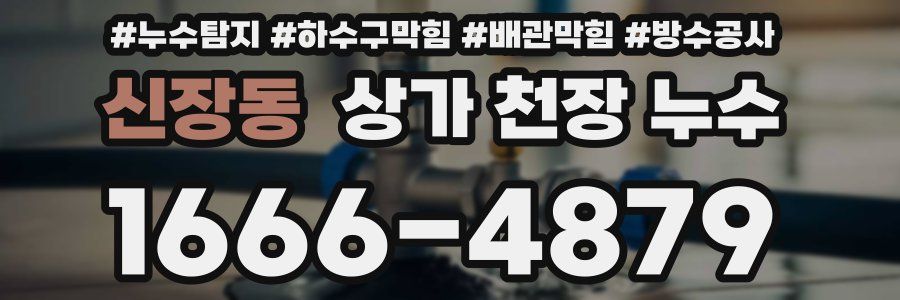 신장동 상가 천장 누수