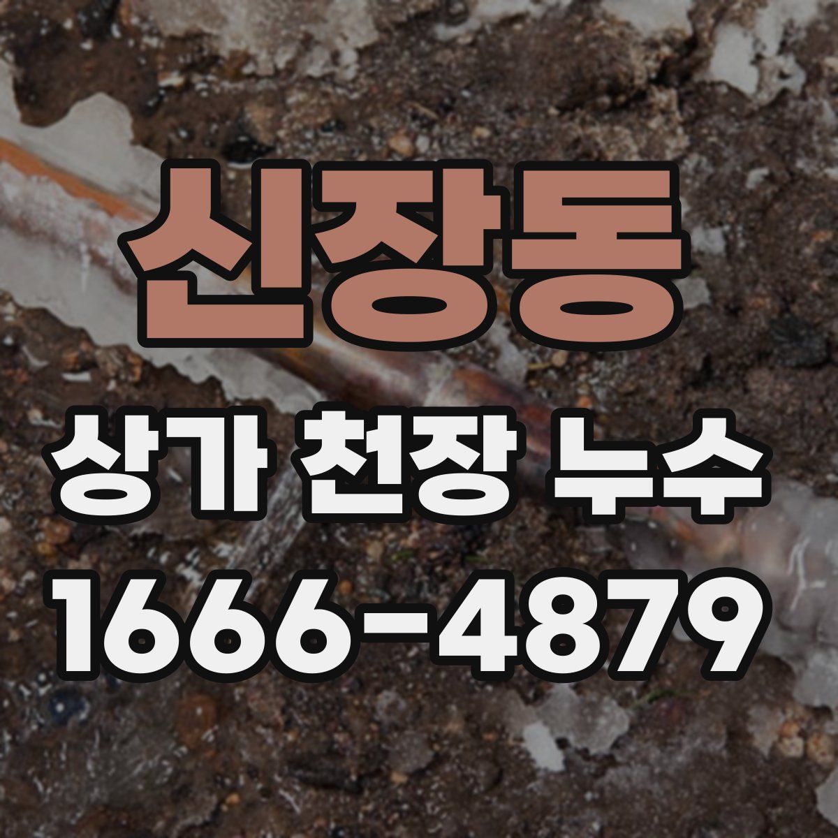 신장동 상가 천장 누수