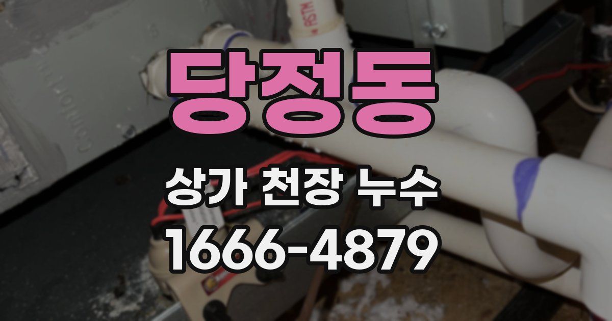 당정동 상가 천장 누수