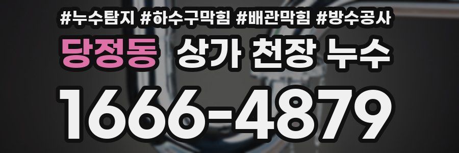 당정동 상가 천장 누수