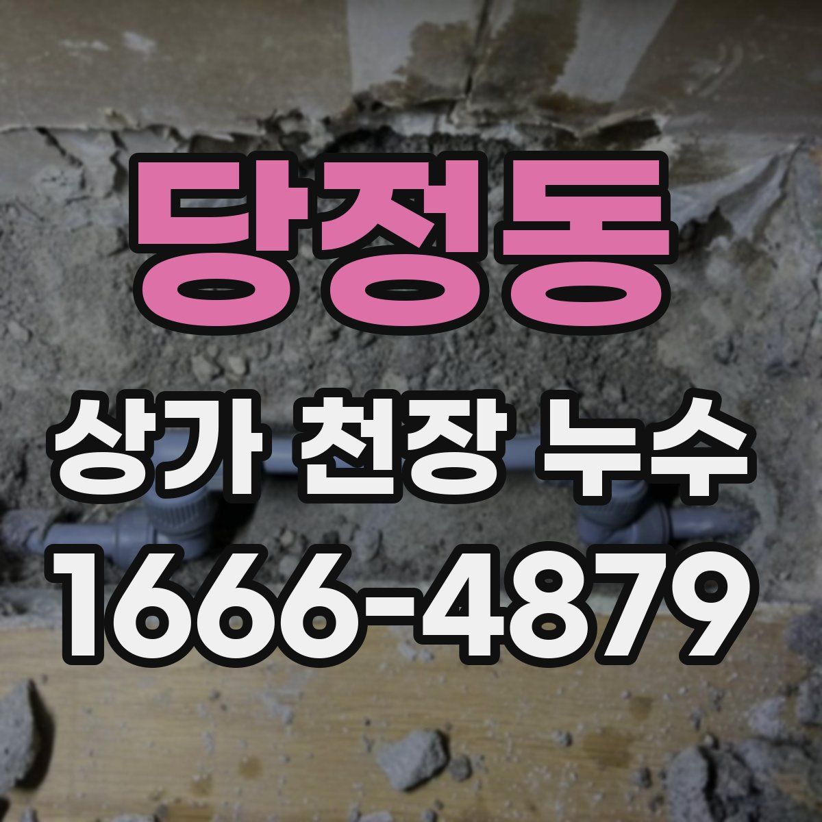 당정동 상가 천장 누수