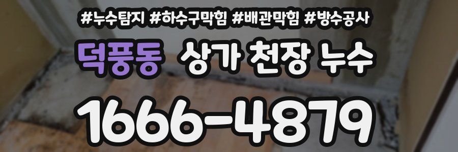 덕풍동 상가 천장 누수