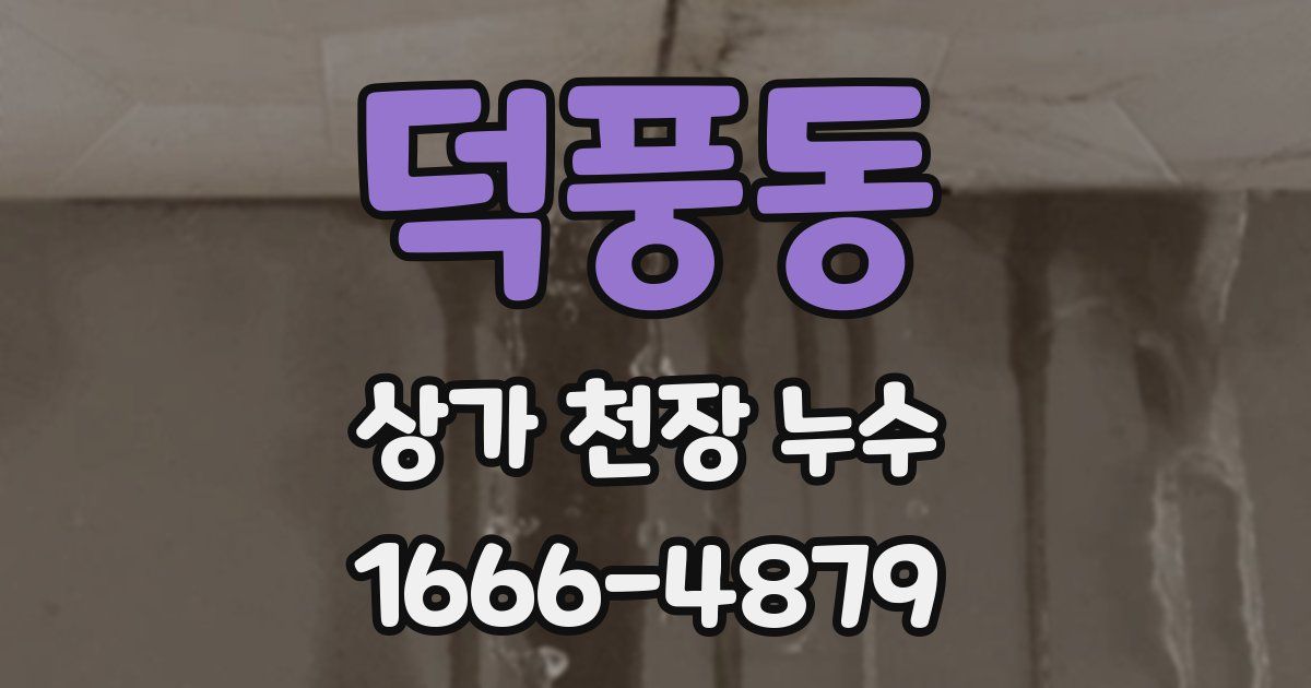 덕풍동 상가 천장 누수