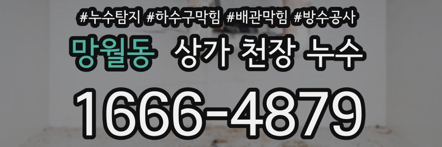 망월동 상가 천장 누수
