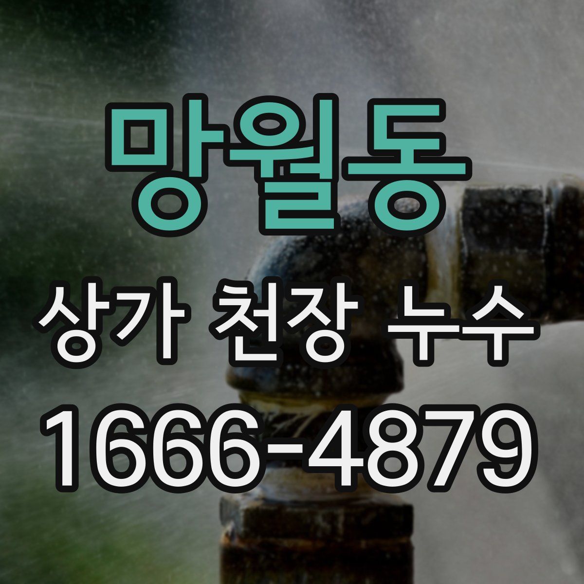망월동 상가 천장 누수
