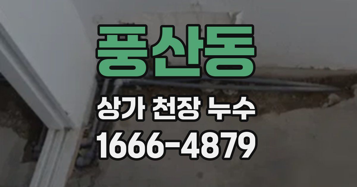 풍산동 상가 천장 누수