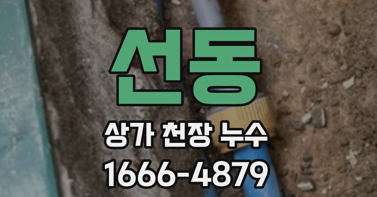 선동 상가 천장 누수