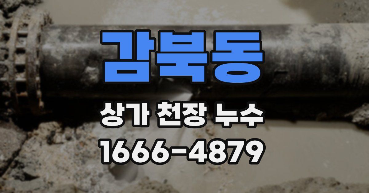 감북동 상가 천장 누수