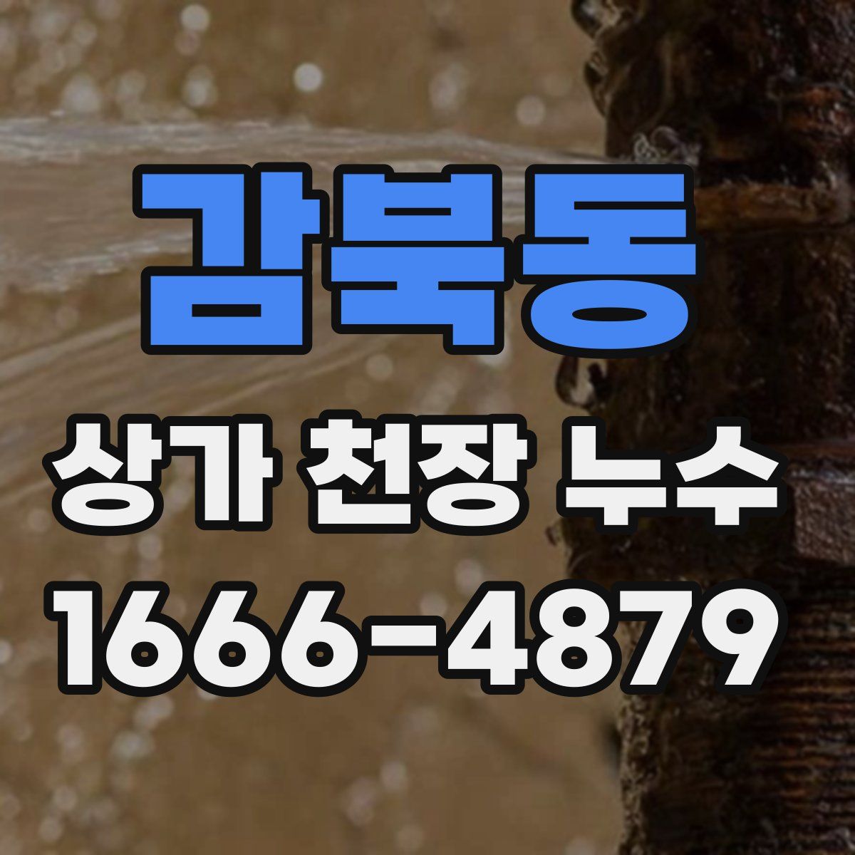 감북동 상가 천장 누수