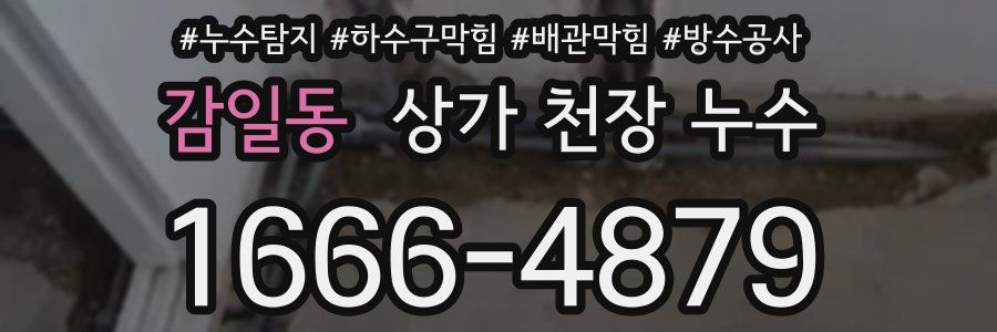 감일동 상가 천장 누수