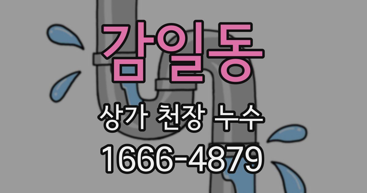 감일동 상가 천장 누수