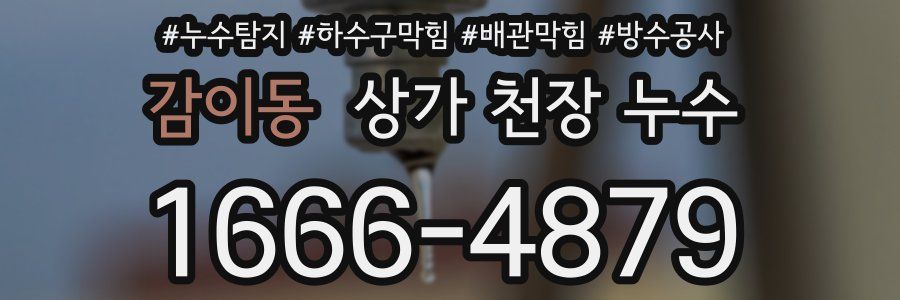 감이동 상가 천장 누수
