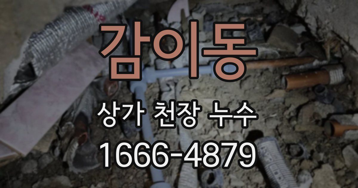 감이동 상가 천장 누수