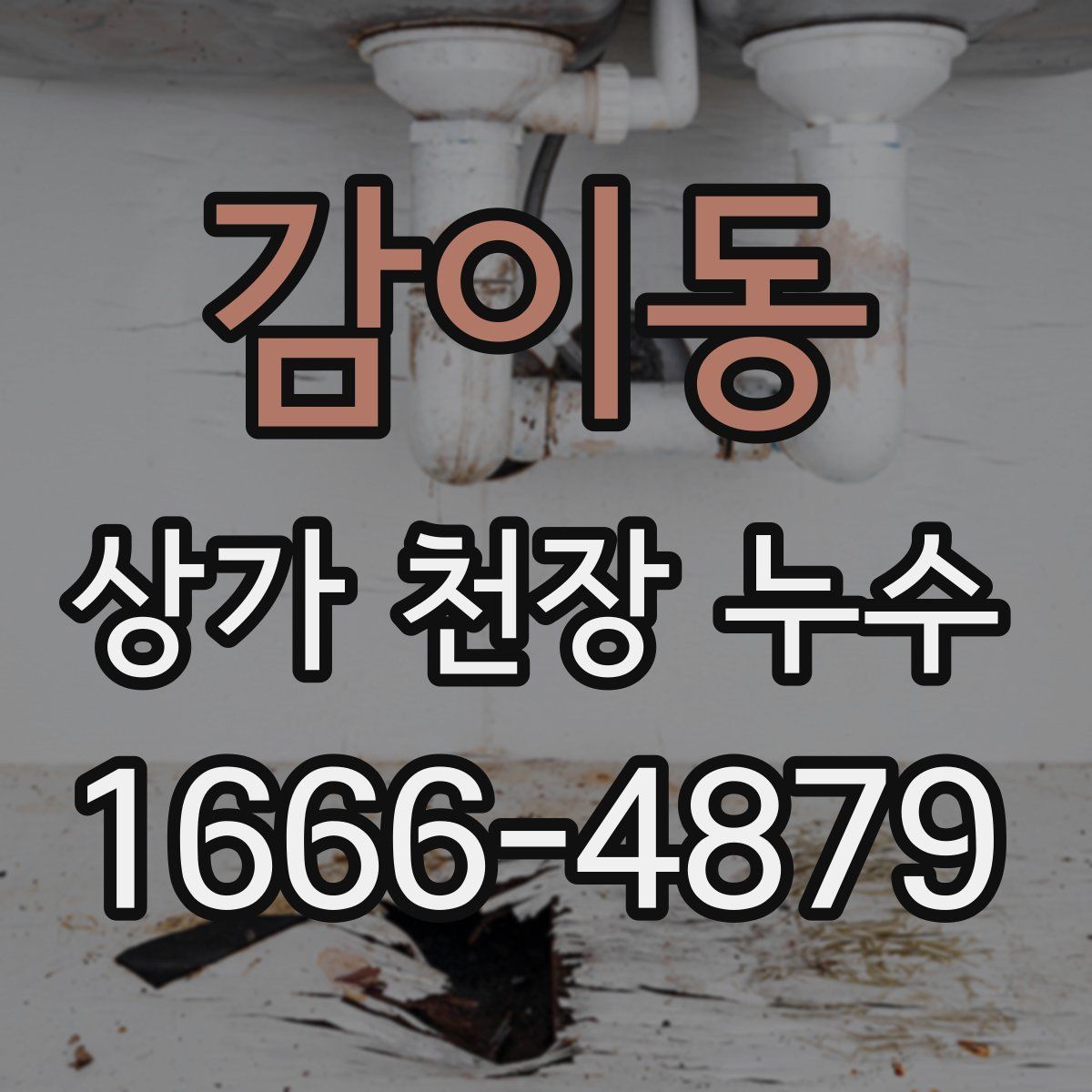 감이동 상가 천장 누수