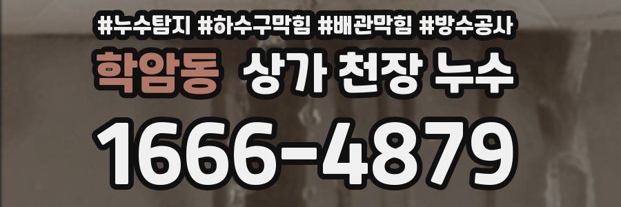 학암동 상가 천장 누수