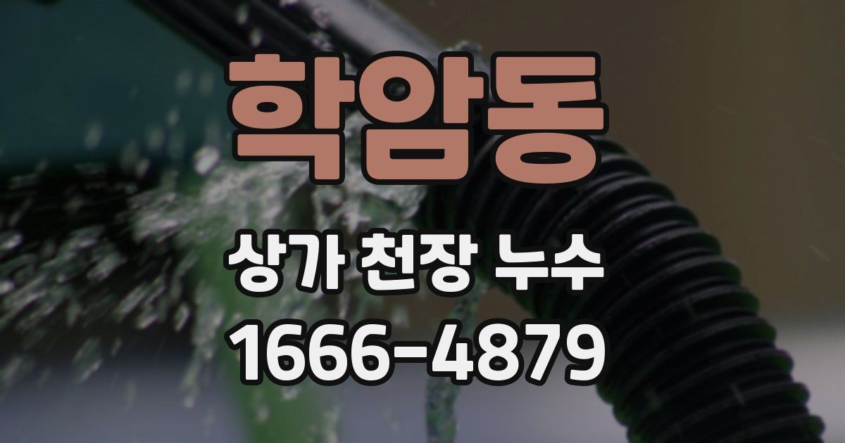 학암동 상가 천장 누수