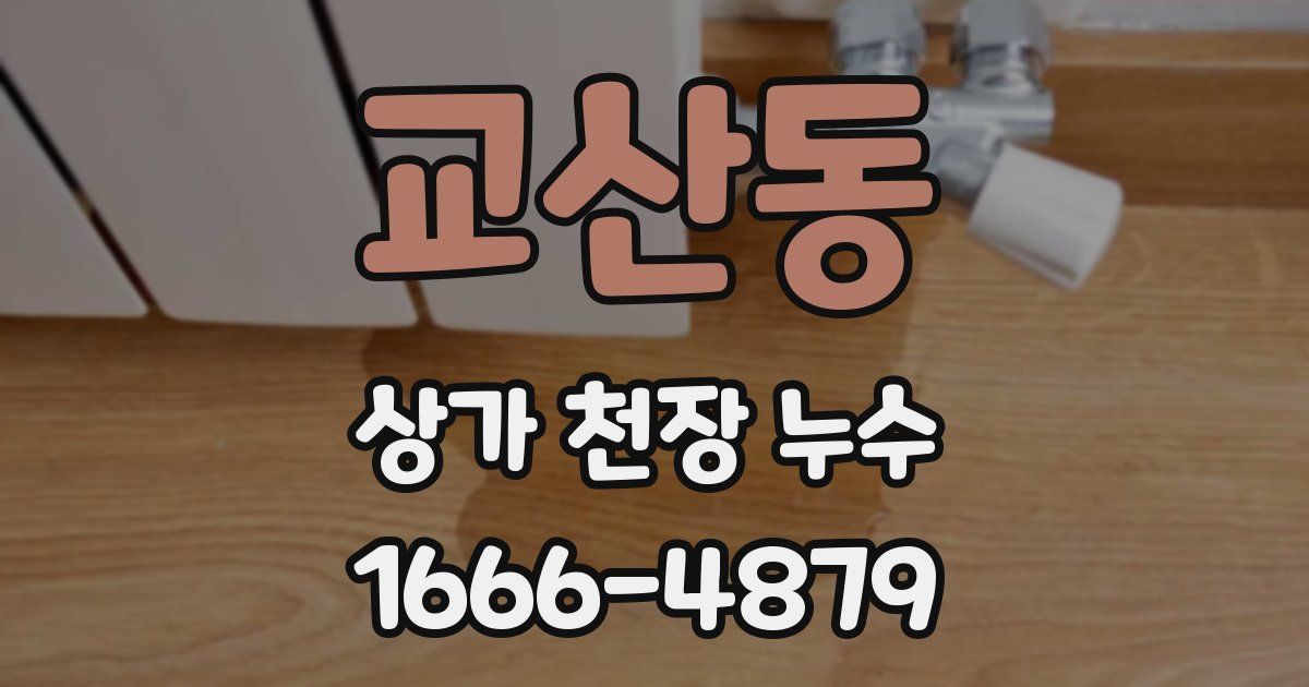 교산동 상가 천장 누수