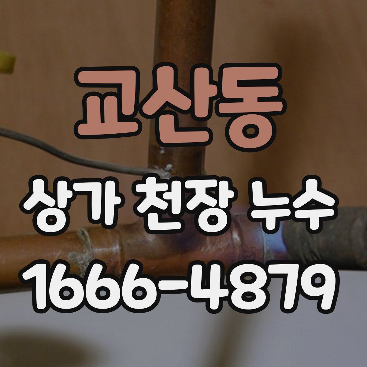 교산동 상가 천장 누수
