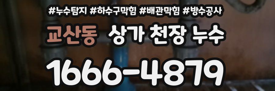 교산동 상가 천장 누수
