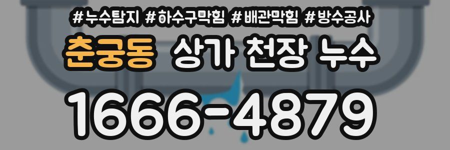 춘궁동 상가 천장 누수