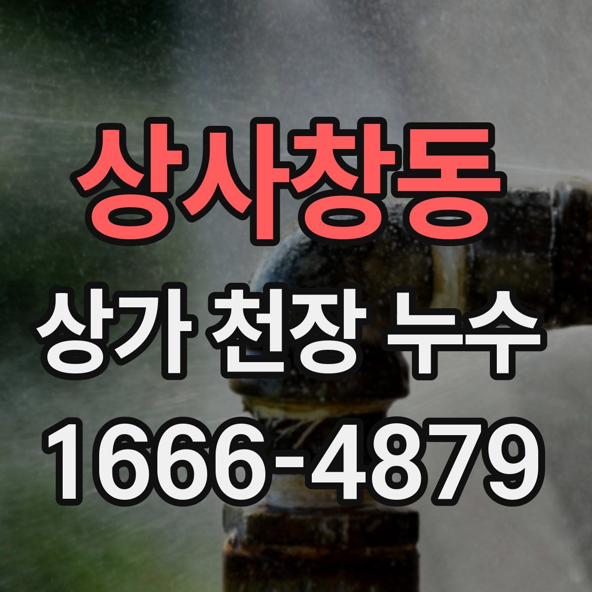 상사창동 상가 천장 누수