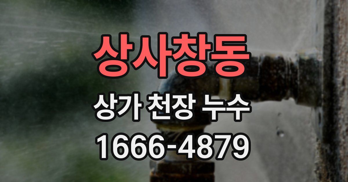 상사창동 상가 천장 누수