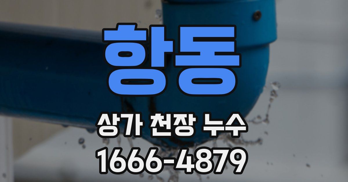 항동 상가 천장 누수