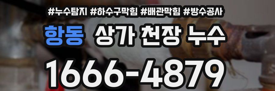항동 상가 천장 누수