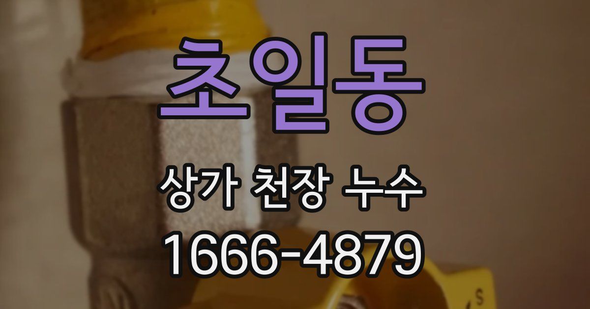 초일동 상가 천장 누수