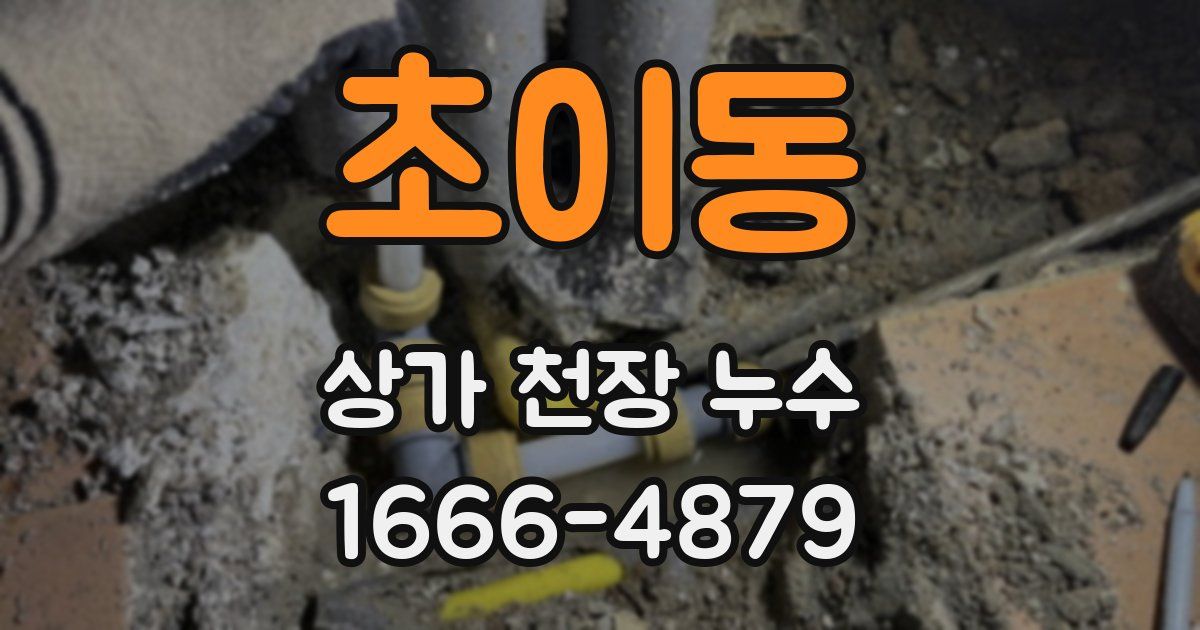 초이동 상가 천장 누수