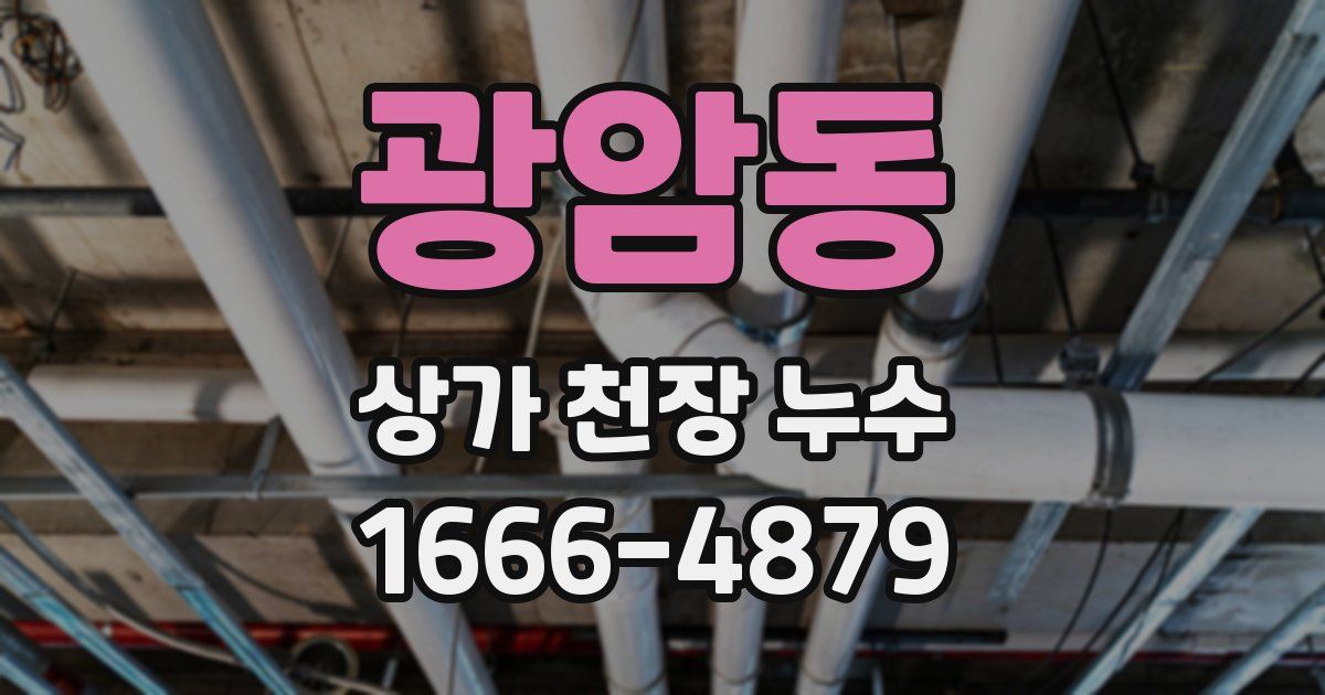 광암동 상가 천장 누수
