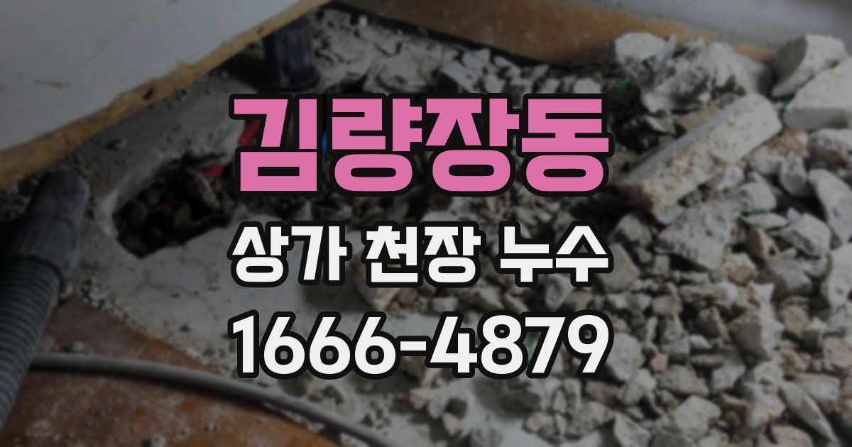 김량장동 상가 천장 누수