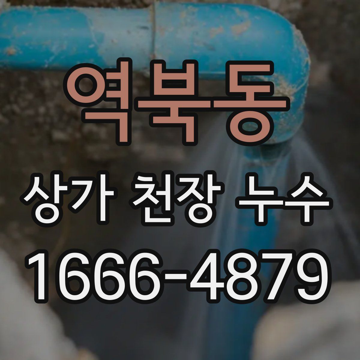 역북동 상가 천장 누수
