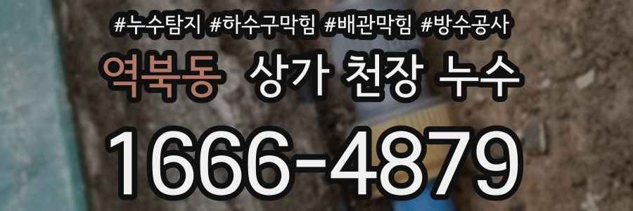 역북동 상가 천장 누수