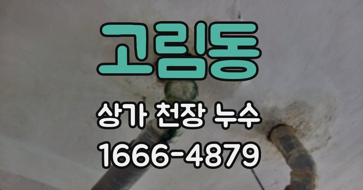 고림동 상가 천장 누수
