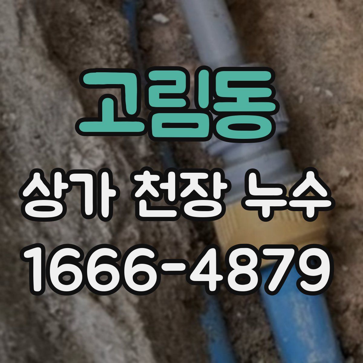 고림동 상가 천장 누수