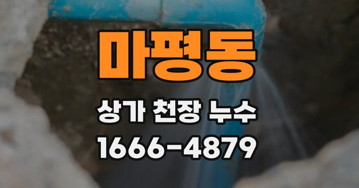 마평동 상가 천장 누수