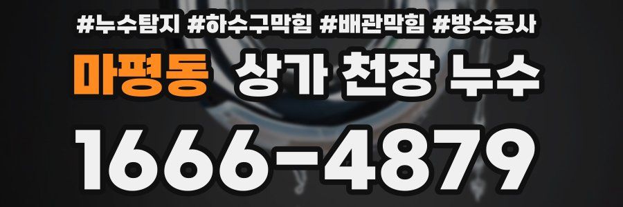 마평동 상가 천장 누수
