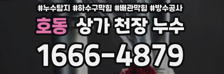 호동 상가 천장 누수