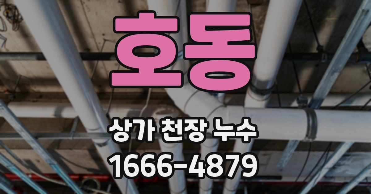 호동 상가 천장 누수