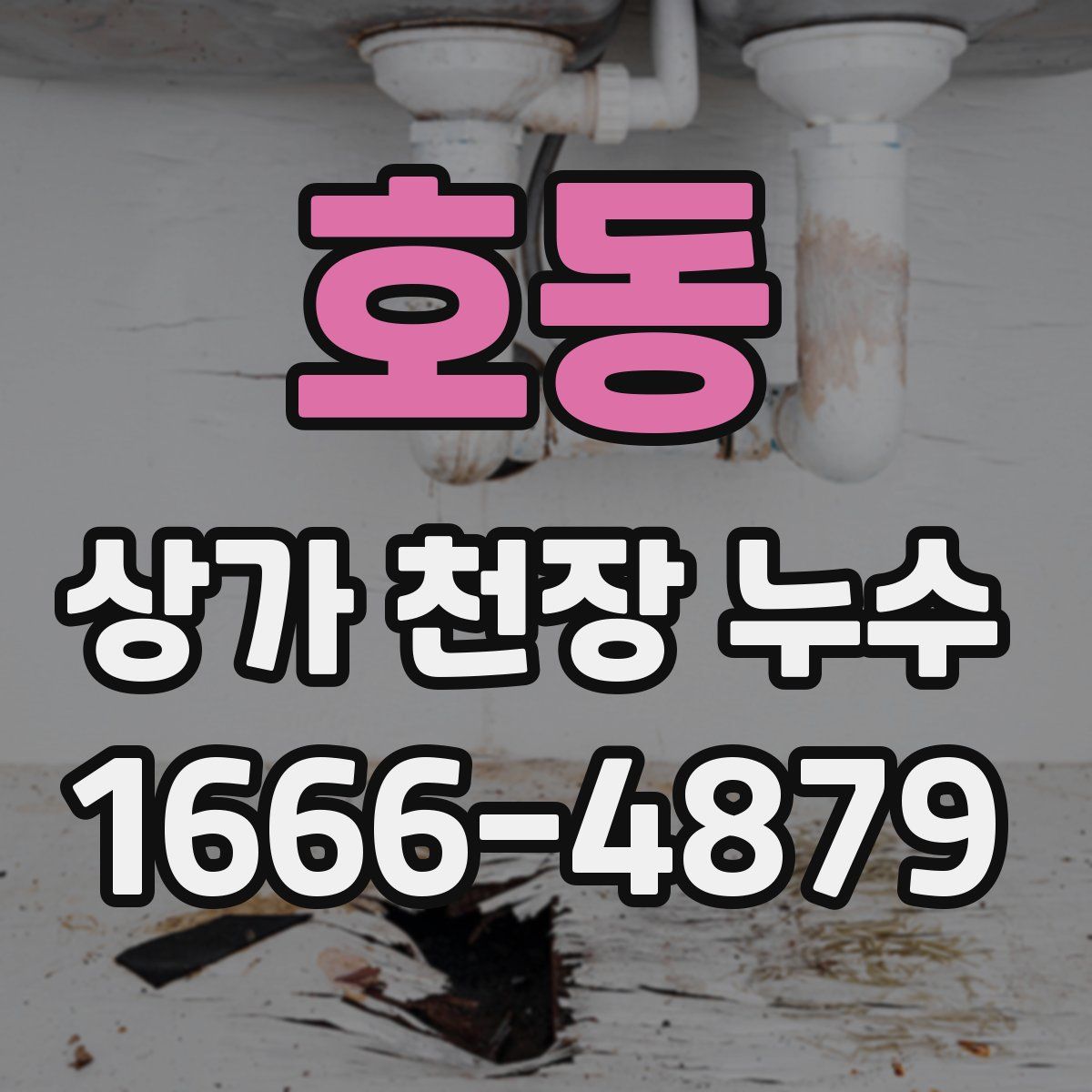 호동 상가 천장 누수
